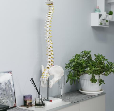 Chiropraticienne Caroline Vitez